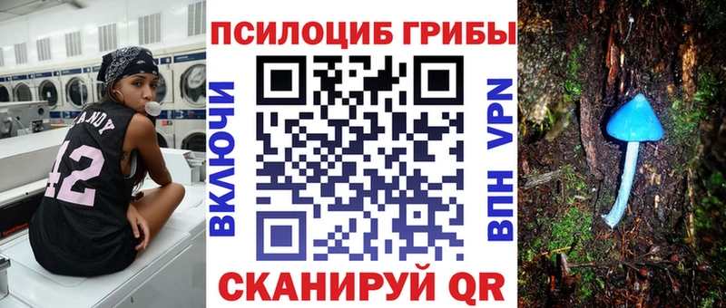 Псилоцибиновые грибы мухоморы  наркотики  Кяхта 