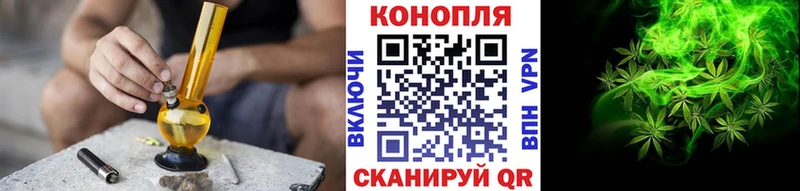 Бошки марихуана White Widow  дарнет шоп  Кяхта 